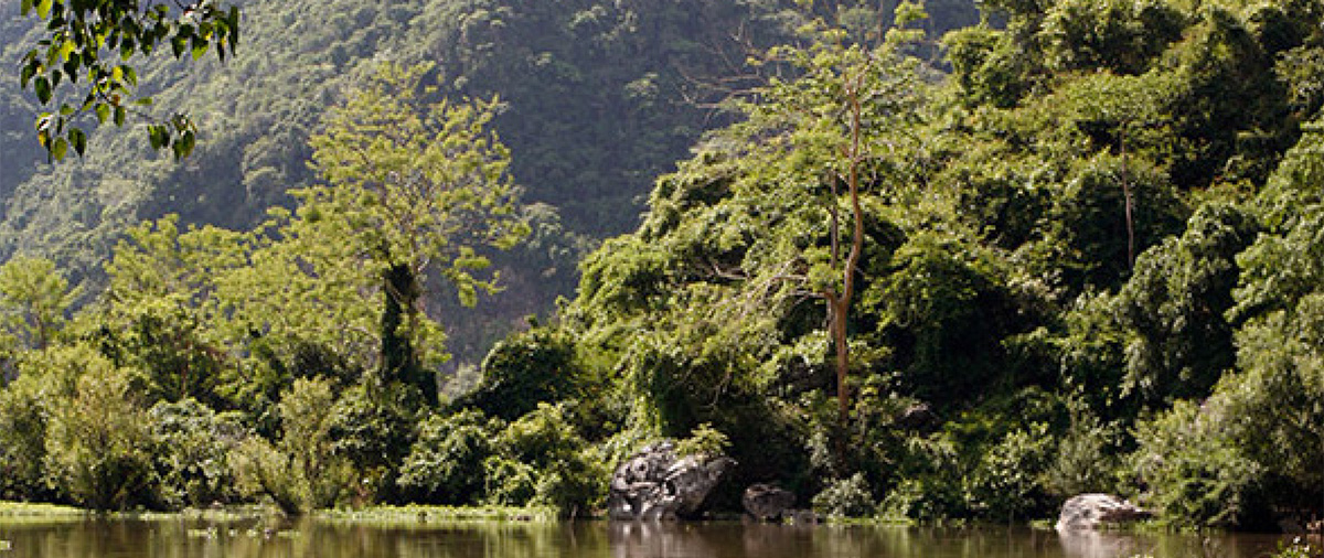 Integrity Insights: Supporting FCDO to improve the use of social protection approaches during crises using evidence