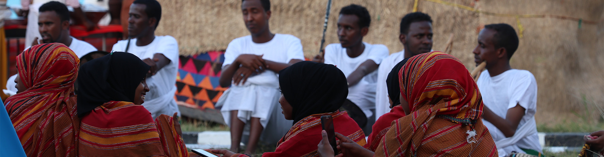 Recently completed project: Research studies on the Somali health sector